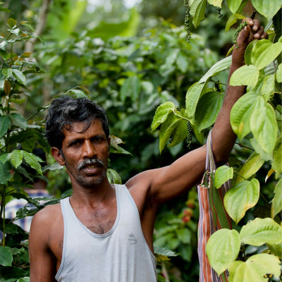 How Climate Change is Reshaping Indonesia's Coffee Industry